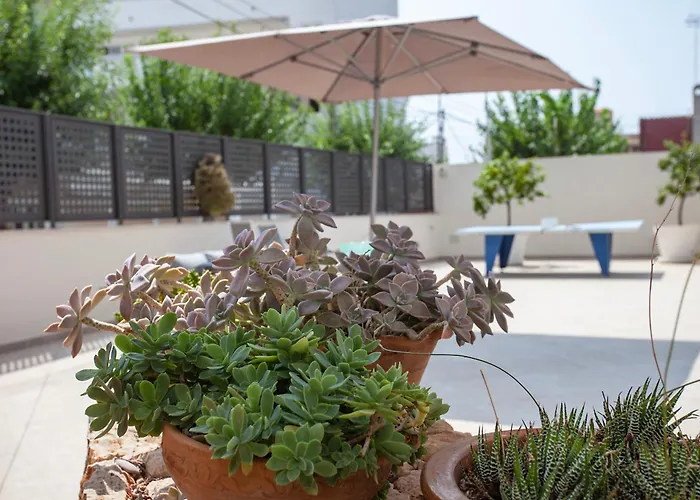 招待所 苏提玛蕾斯丹西娅酒店 3*